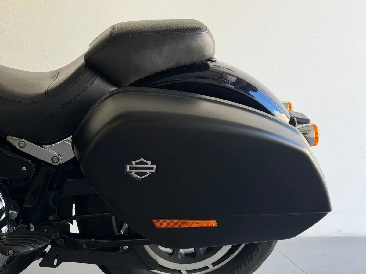 Harley-Davidson 107 Sport Glide (2018 - 20) (9)