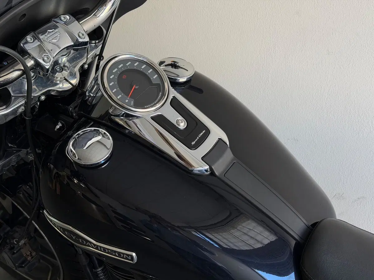 Harley-Davidson 107 Sport Glide (2018 - 20) (10)