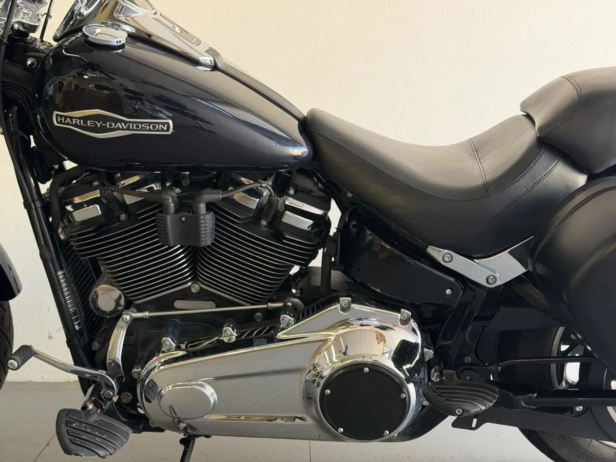 Harley-Davidson 107 Sport Glide (2018 - 20) (11)