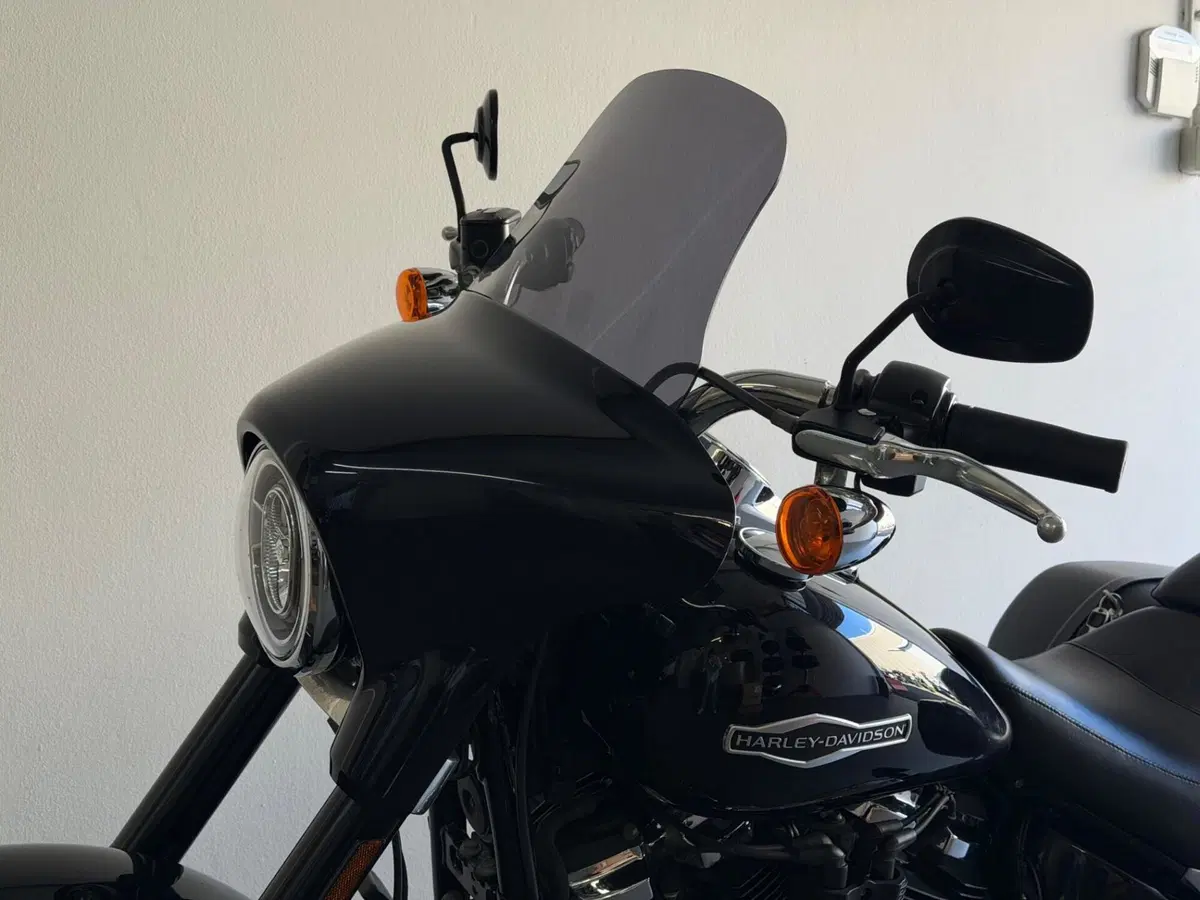 Harley-Davidson 107 Sport Glide (2018 - 20) (13)