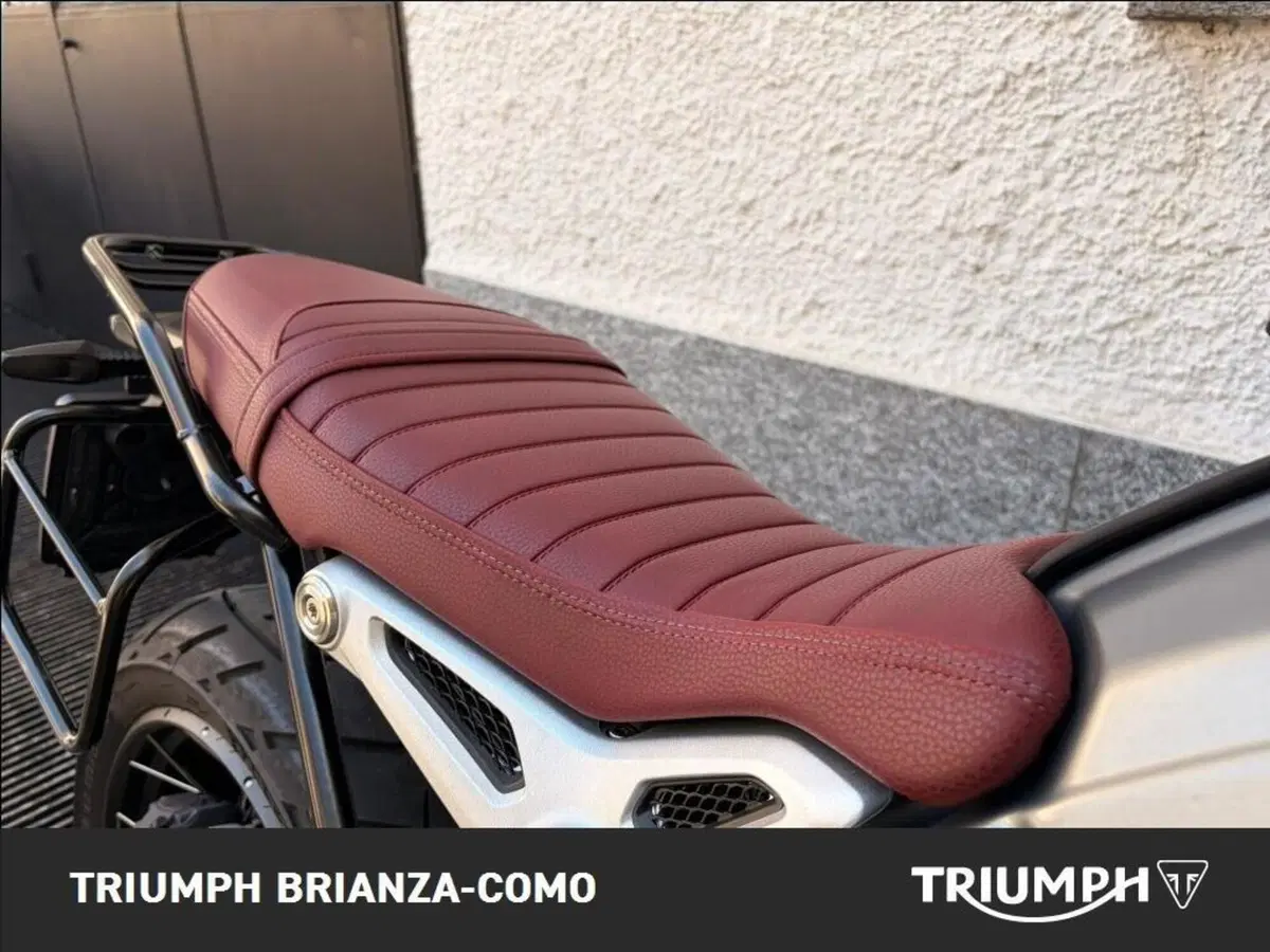 Bmw R nineT Scrambler (2021 - 24) (6)