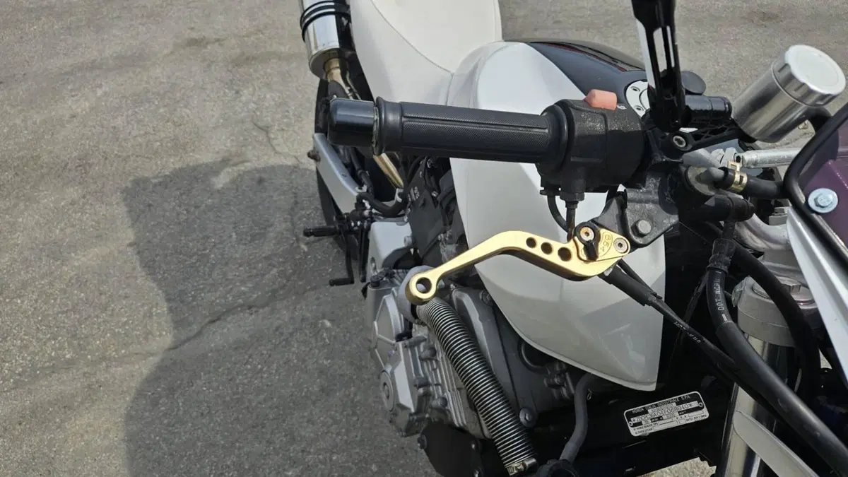 Honda Hornet 600 (2003 - 04) (8)