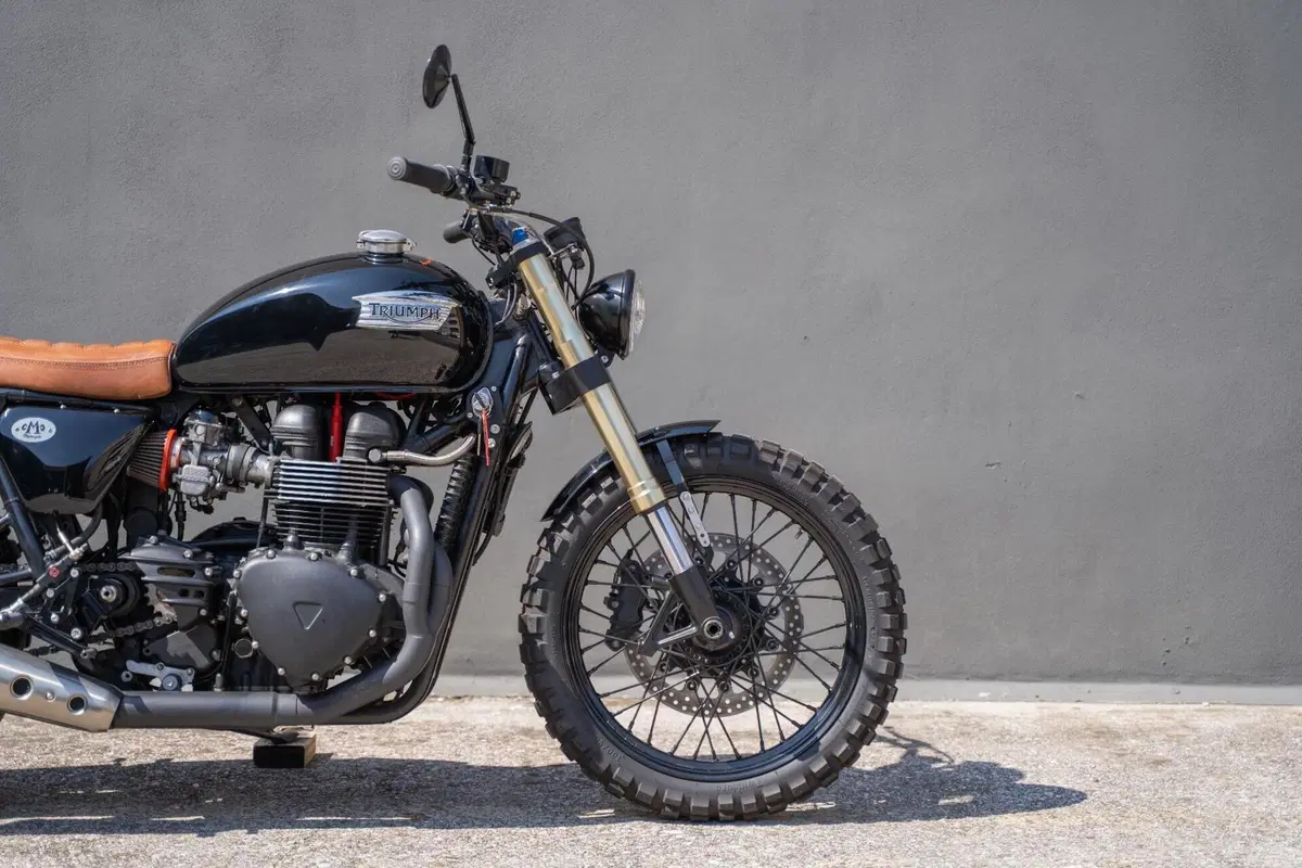 Triumph Bonneville T100 (2008 - 16) (2)