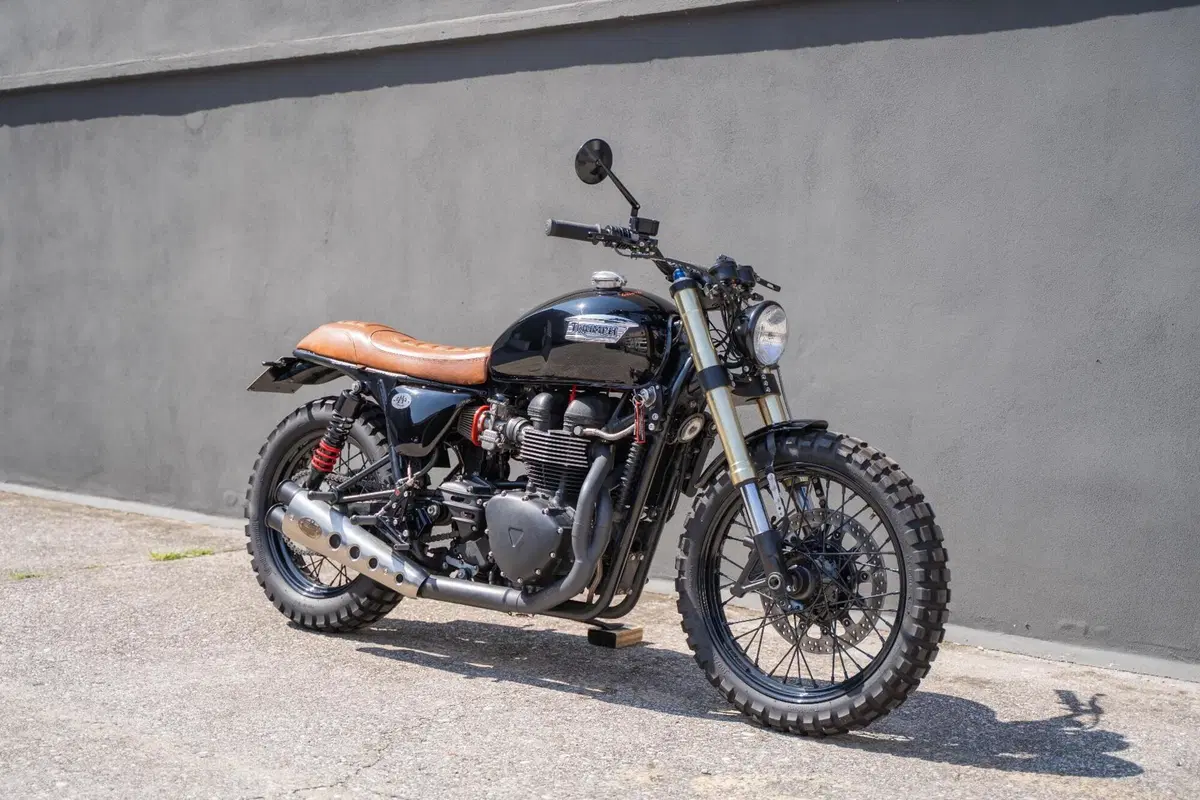 Triumph Bonneville T100 (2008 - 16) (5)