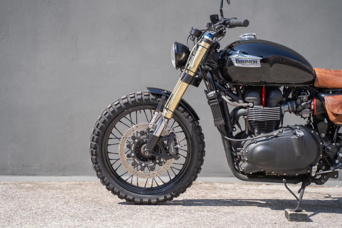 Triumph Bonneville T100 (2008 - 16) (6)