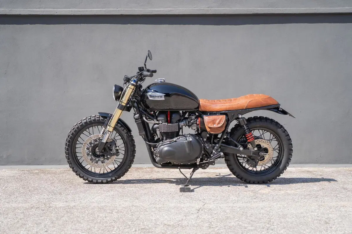 Triumph Bonneville T100 (2008 - 16) (7)