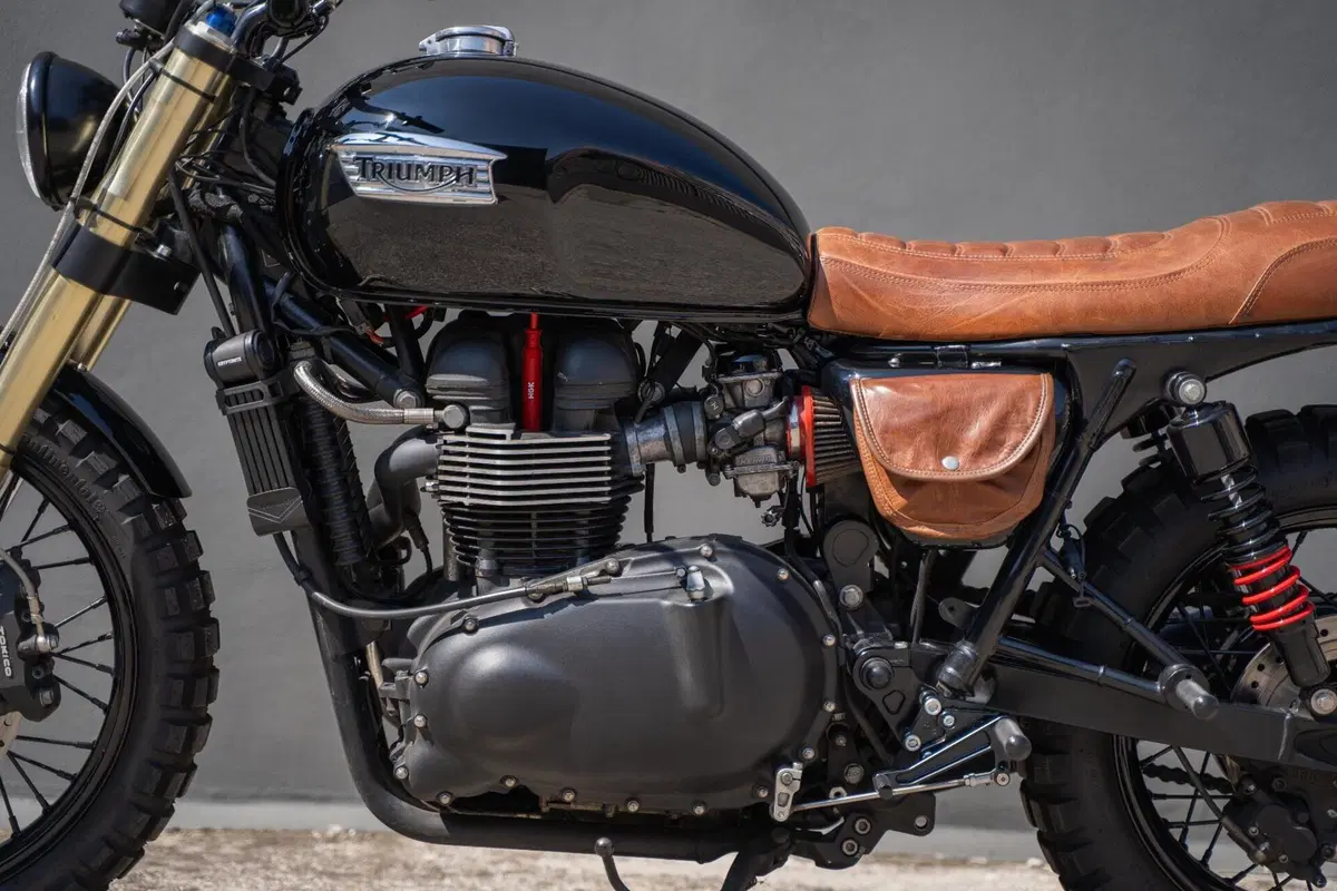 Triumph Bonneville T100 (2008 - 16) (9)