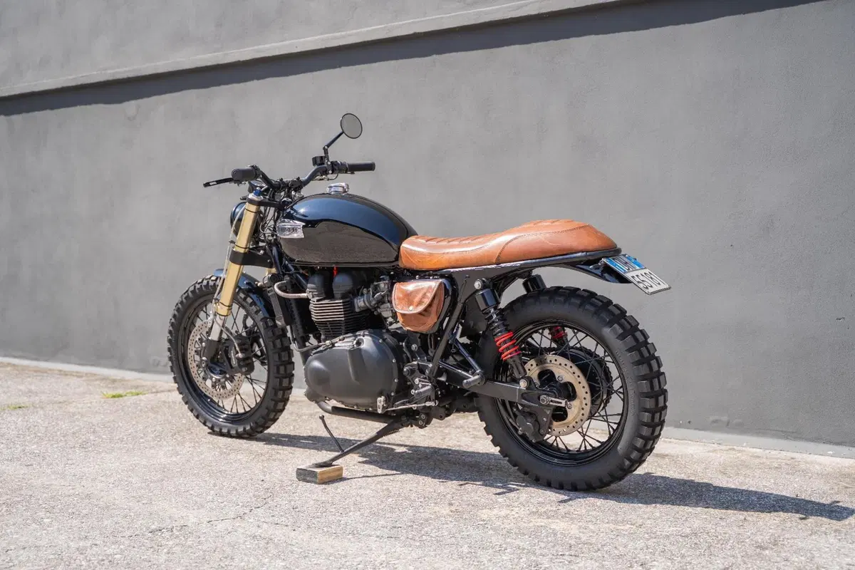 Triumph Bonneville T100 (2008 - 16) (10)