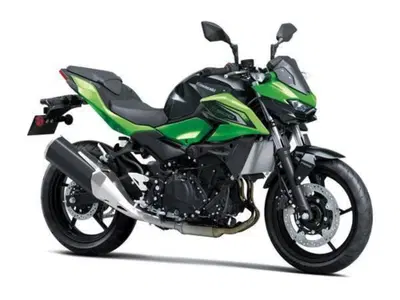 Kawasaki Z 500 (2024 - 26) nuova