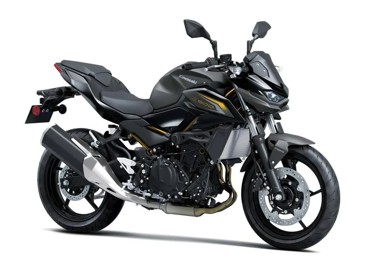 Kawasaki Z 500 (2024 - 26) (2)