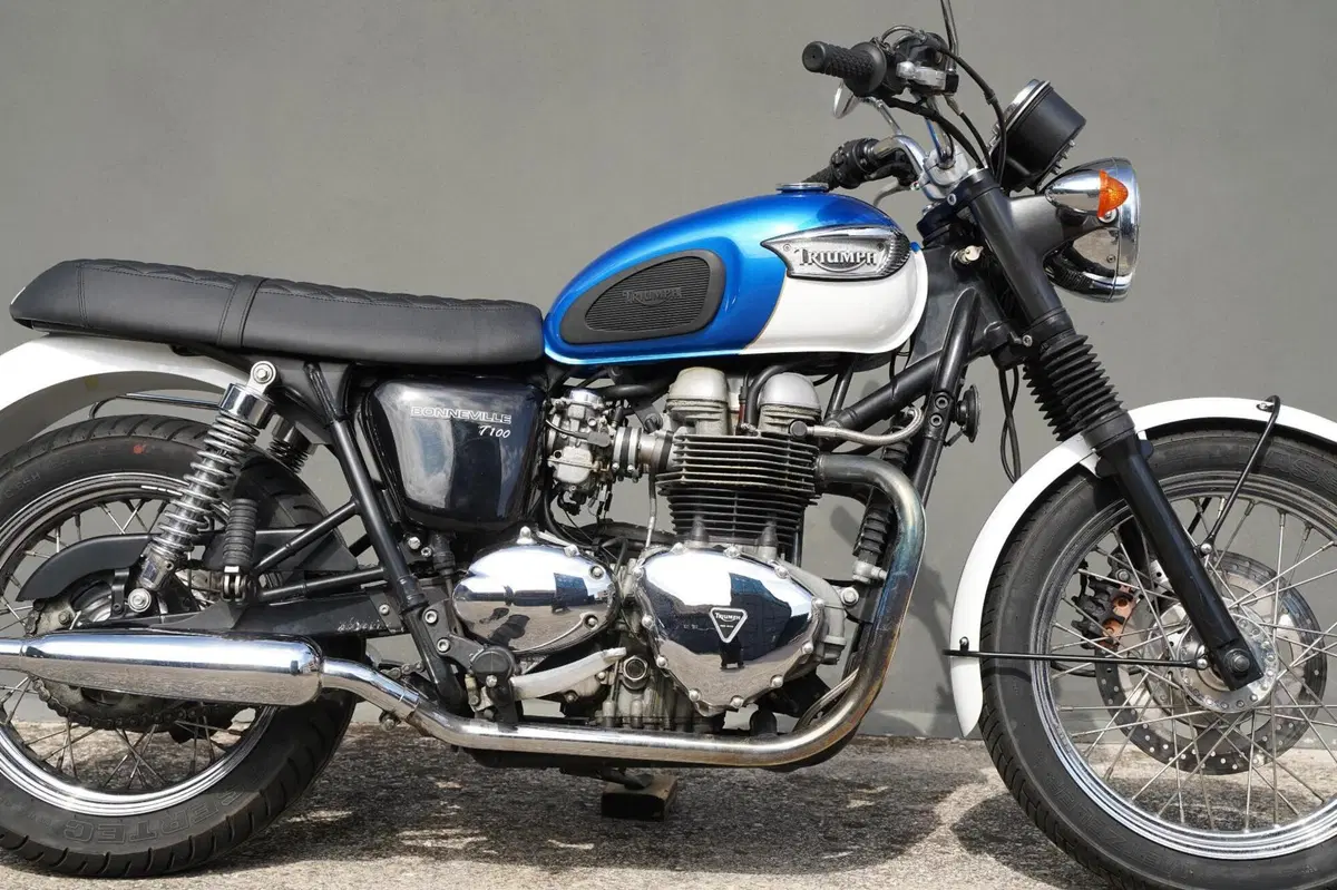 Triumph Bonneville T100 (2001 - 07) (3)