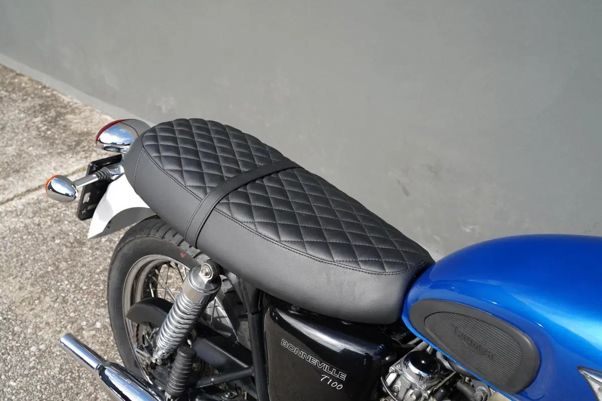 Triumph Bonneville T100 (2001 - 07) (5)