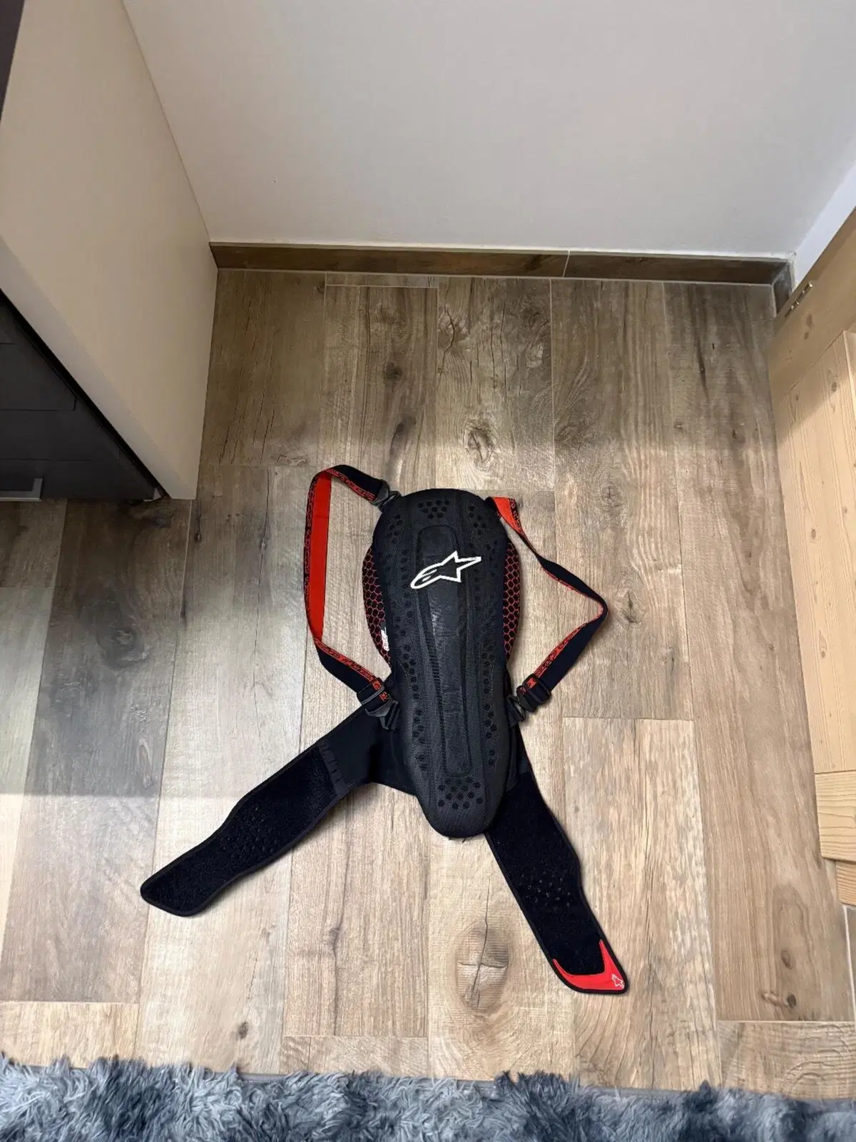 Para chiesa Alpinestars e Parapetto Zandona