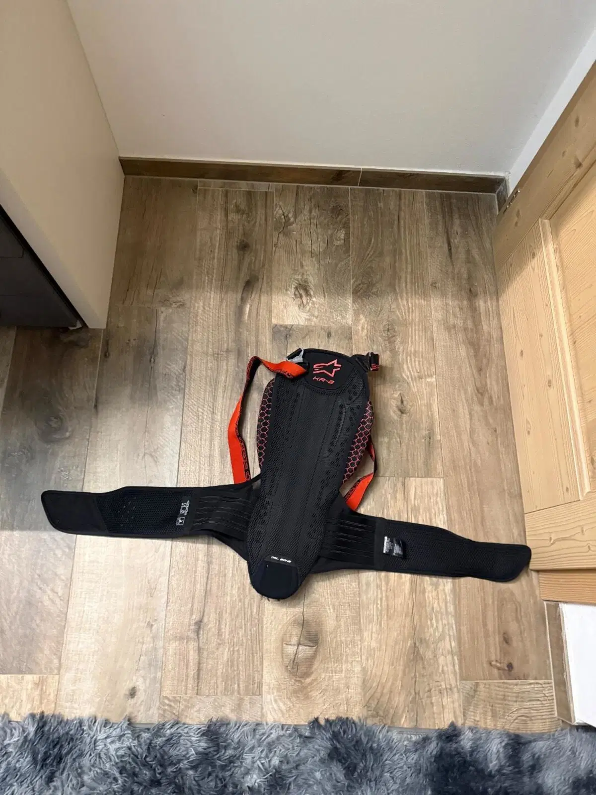 Para chiesa Alpinestars e Parapetto Zandona (2)