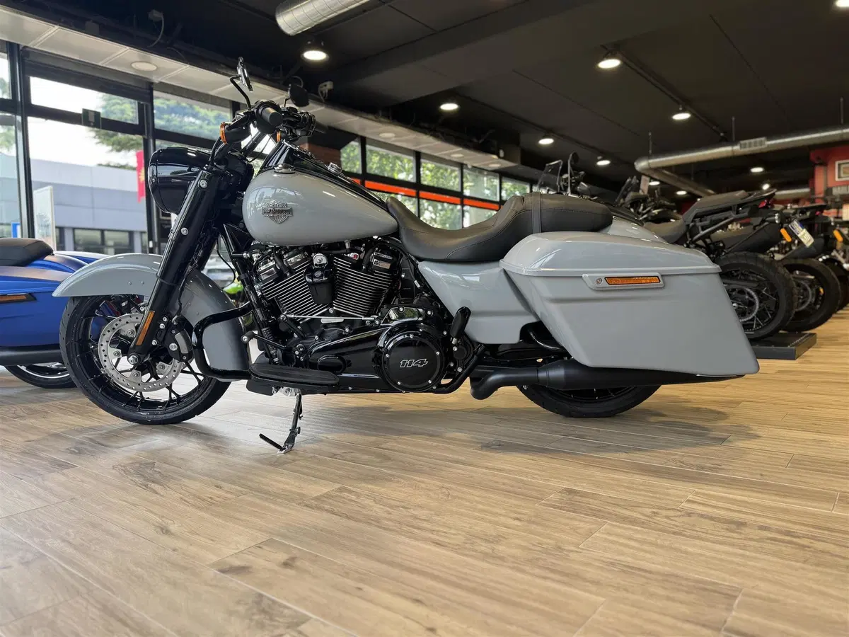 Harley-Davidson Road King Special (2021 - 25)
