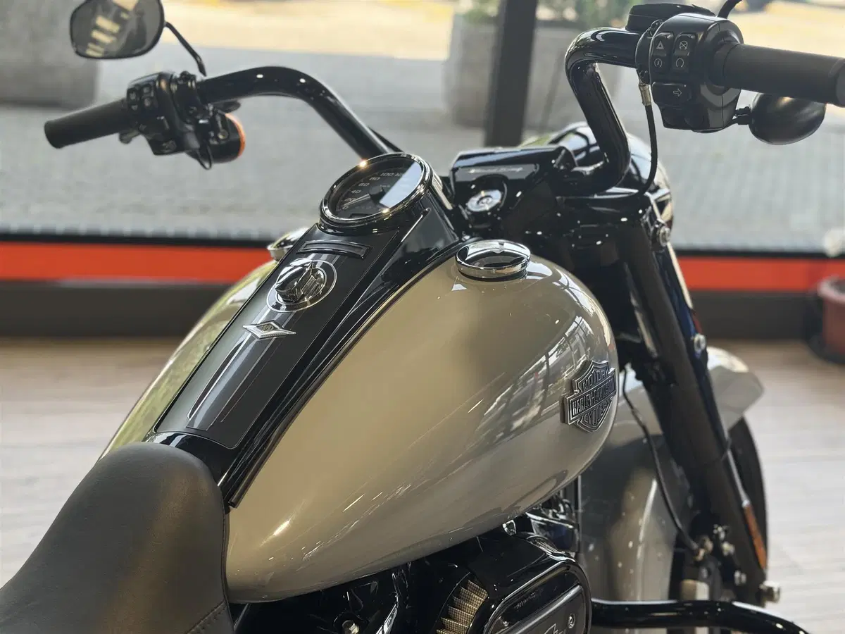 Harley-Davidson Road King Special (2021 - 25) (4)