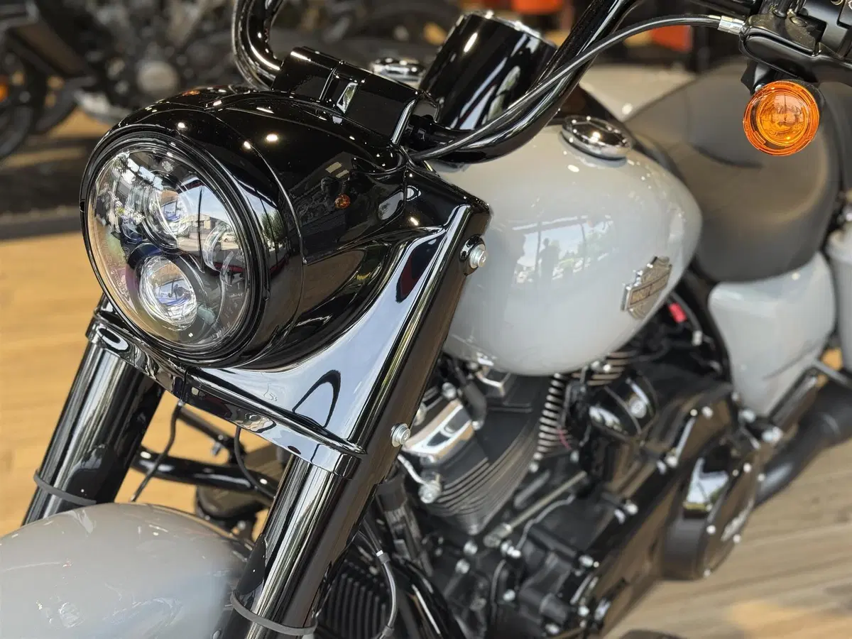 Harley-Davidson Road King Special (2021 - 25) (3)