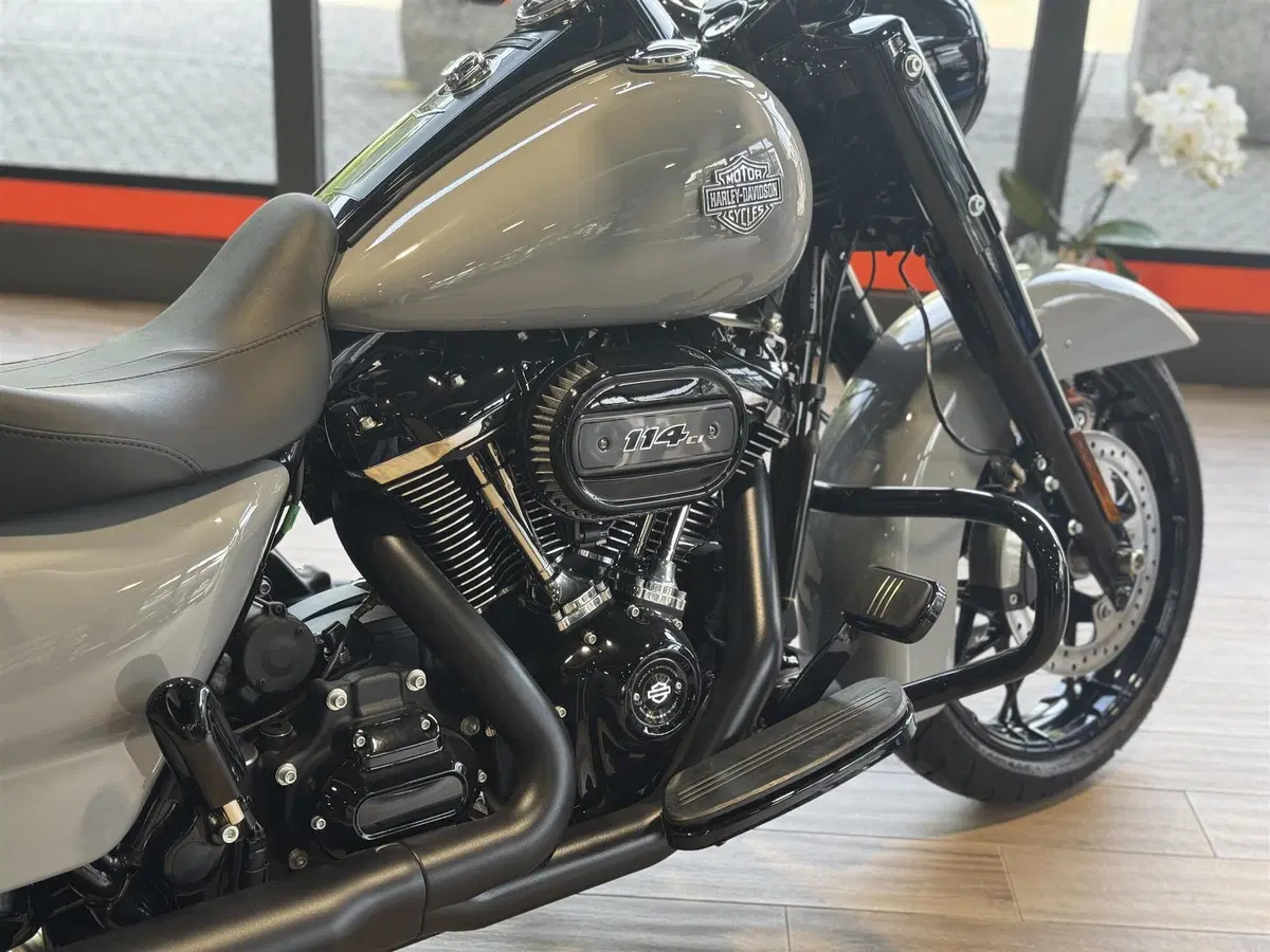 Harley-Davidson Road King Special (2021 - 25) (5)