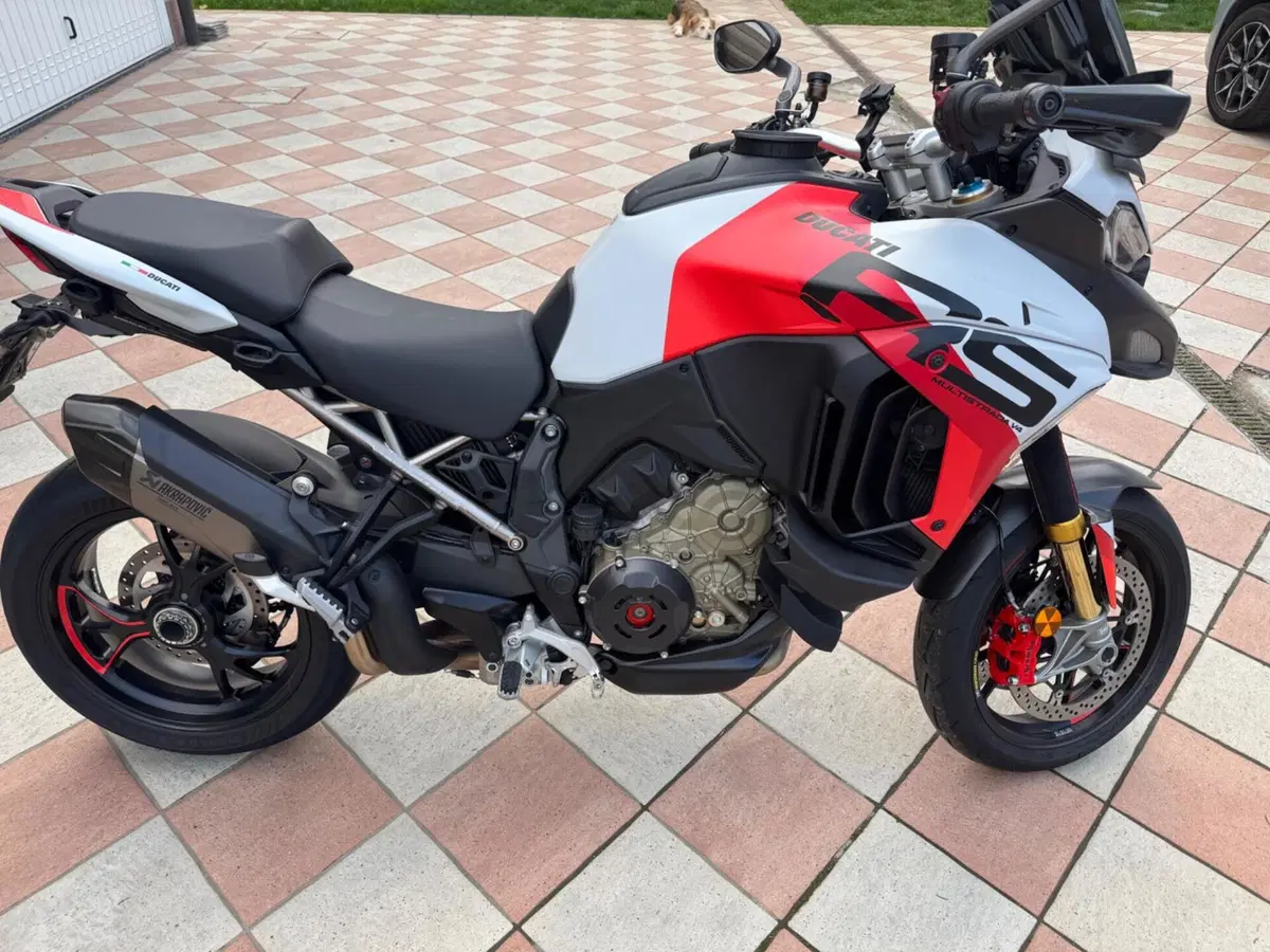 Ducati Multistrada V4 RS (2024 - 25) (6)