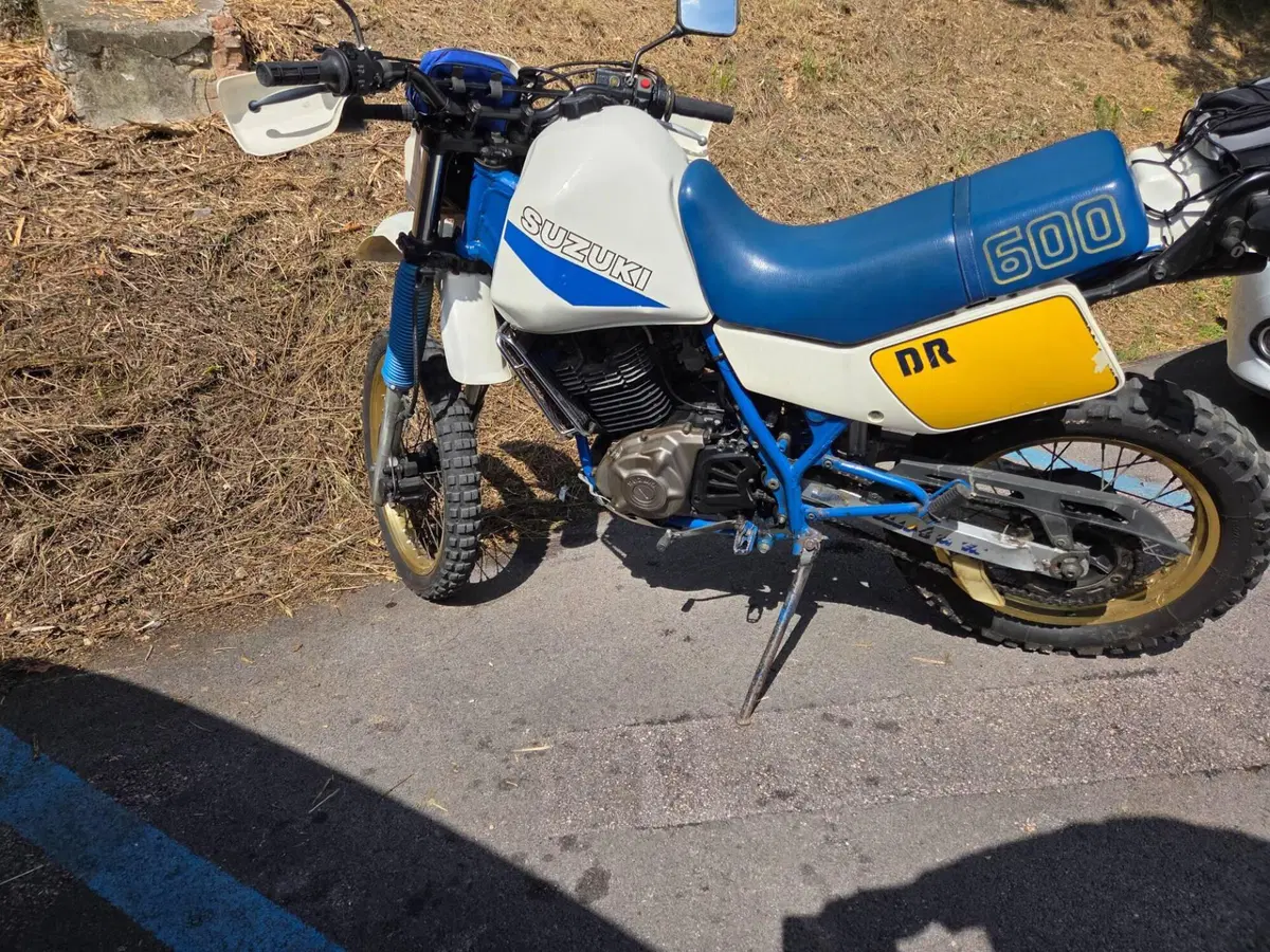 Suzuki DR 600 