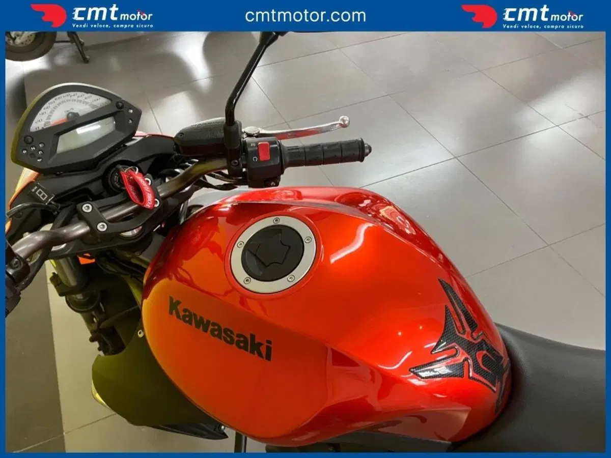 Kawasaki ER-6N (2009 - 11) (6)