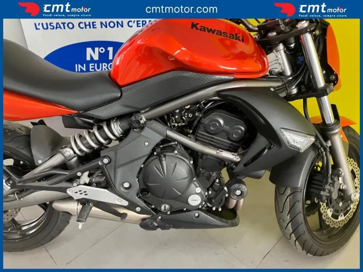 Kawasaki ER-6N (2009 - 11) (9)