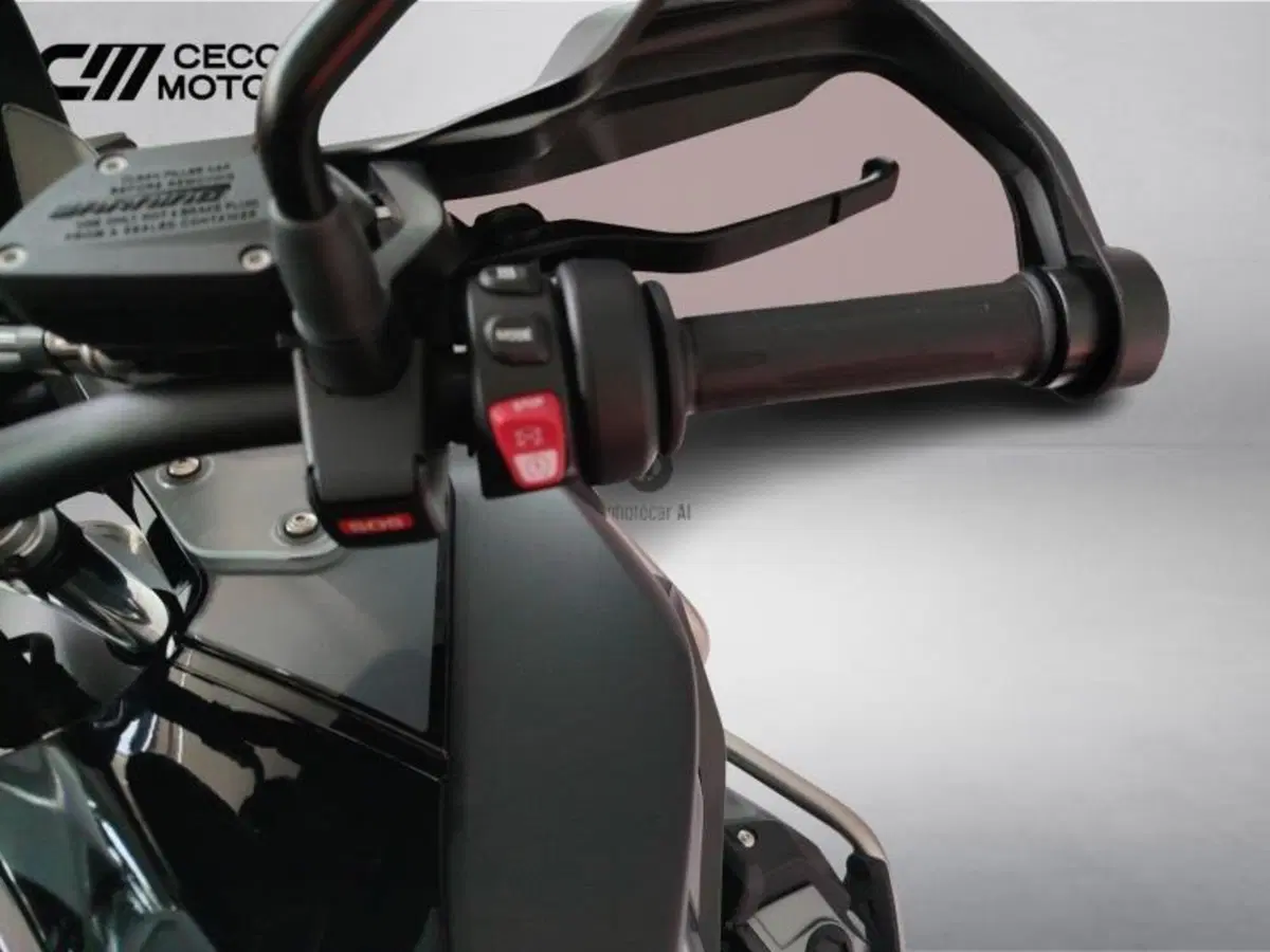 Bmw R 1250 GS Adventure (2021 - 24) (11)