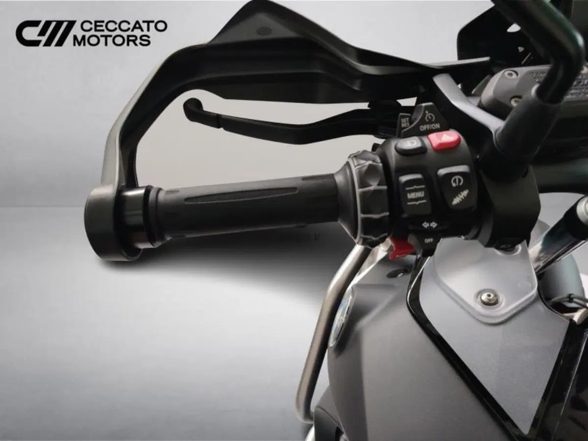 Bmw R 1250 GS Adventure (2021 - 24) (12)