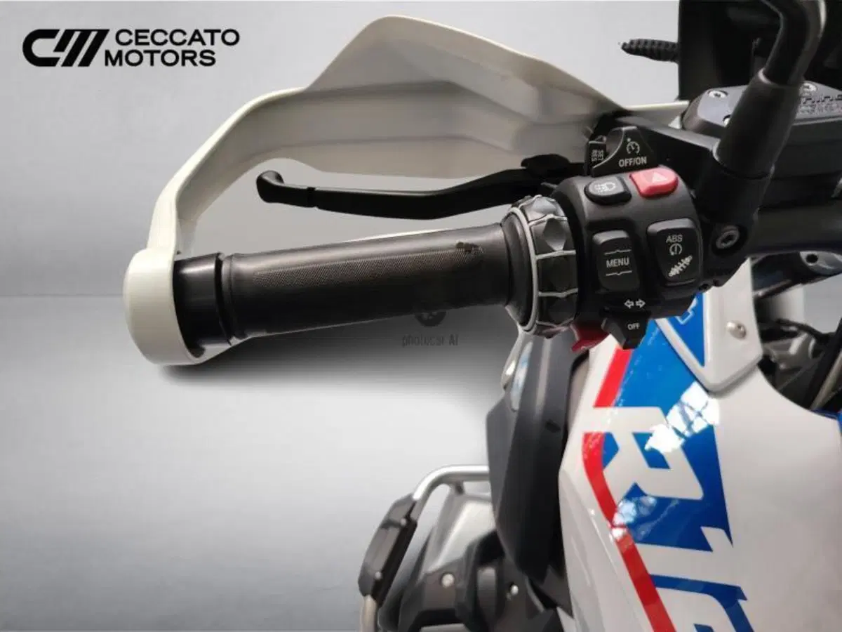 Bmw R 1250 GS (2019 - 20) (13)