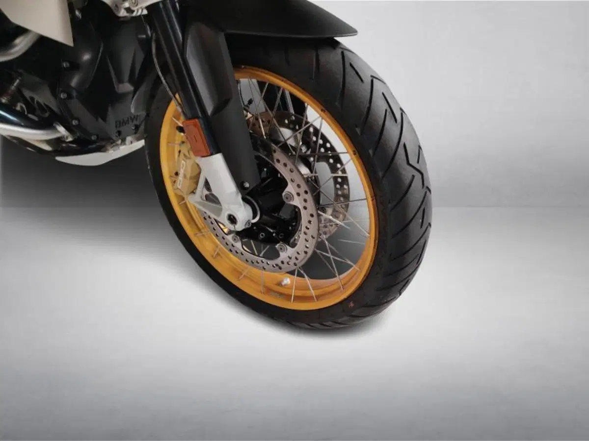 Bmw R 1250 GS (2019 - 20) (14)