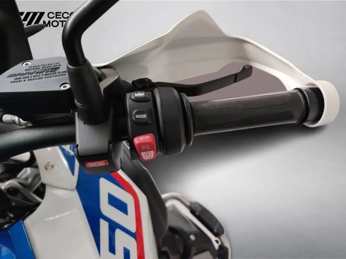 Bmw R 1250 GS (2019 - 20) (11)