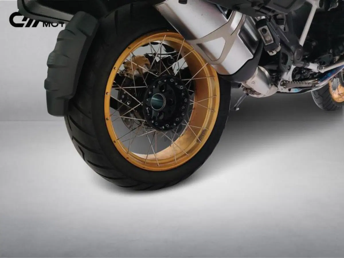 Bmw R 1250 GS (2019 - 20) (15)