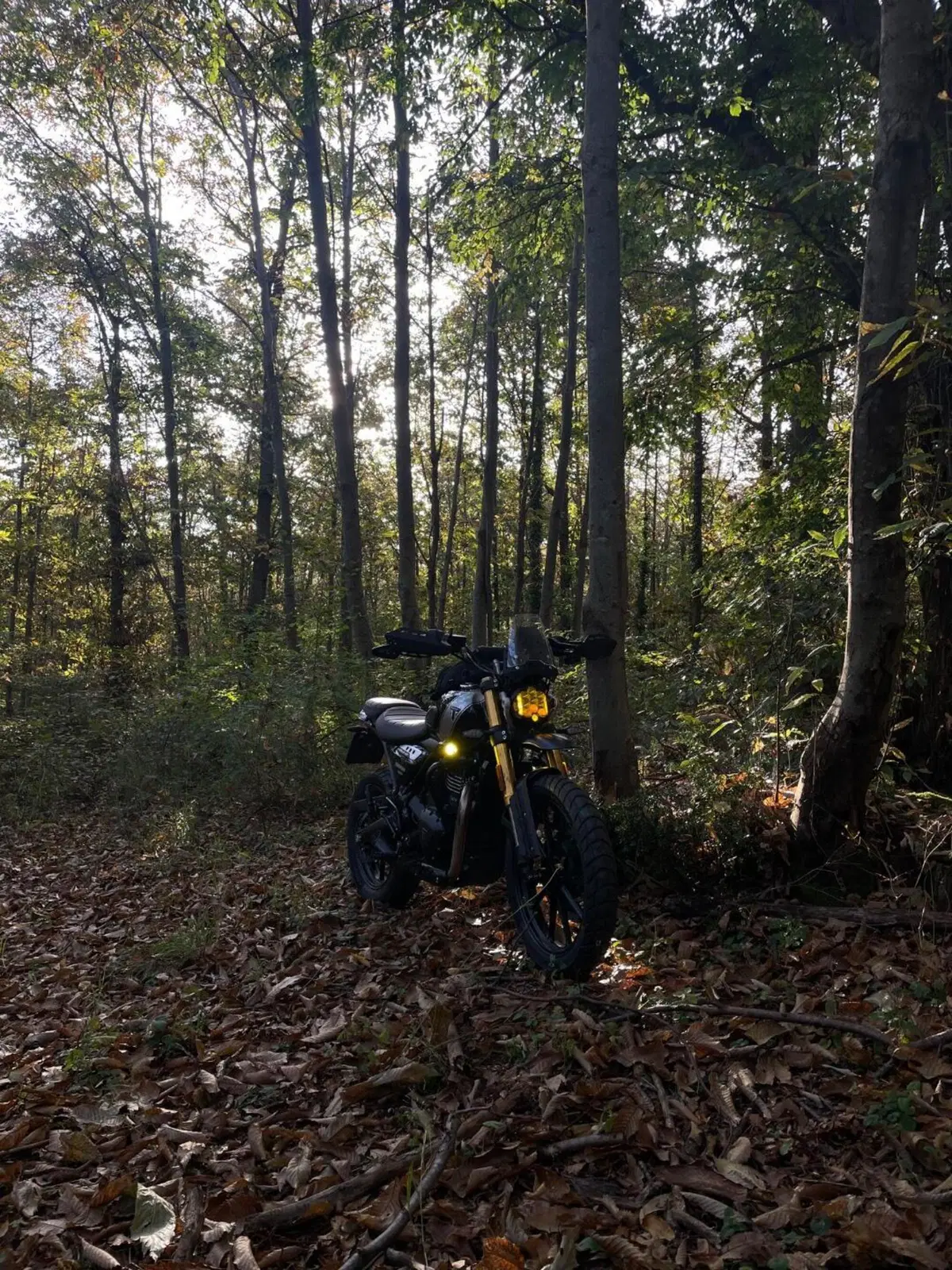 Triumph Scrambler 400 X (2024 - 26) (8)
