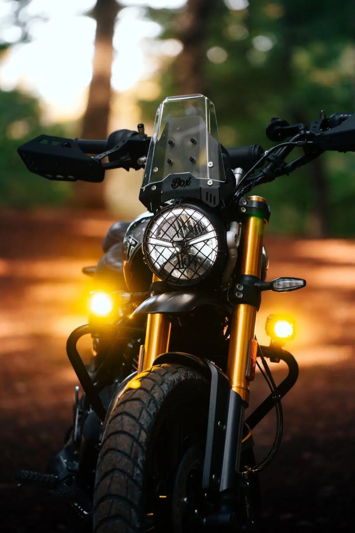 Triumph Scrambler 400 X (2024 - 26) (2)