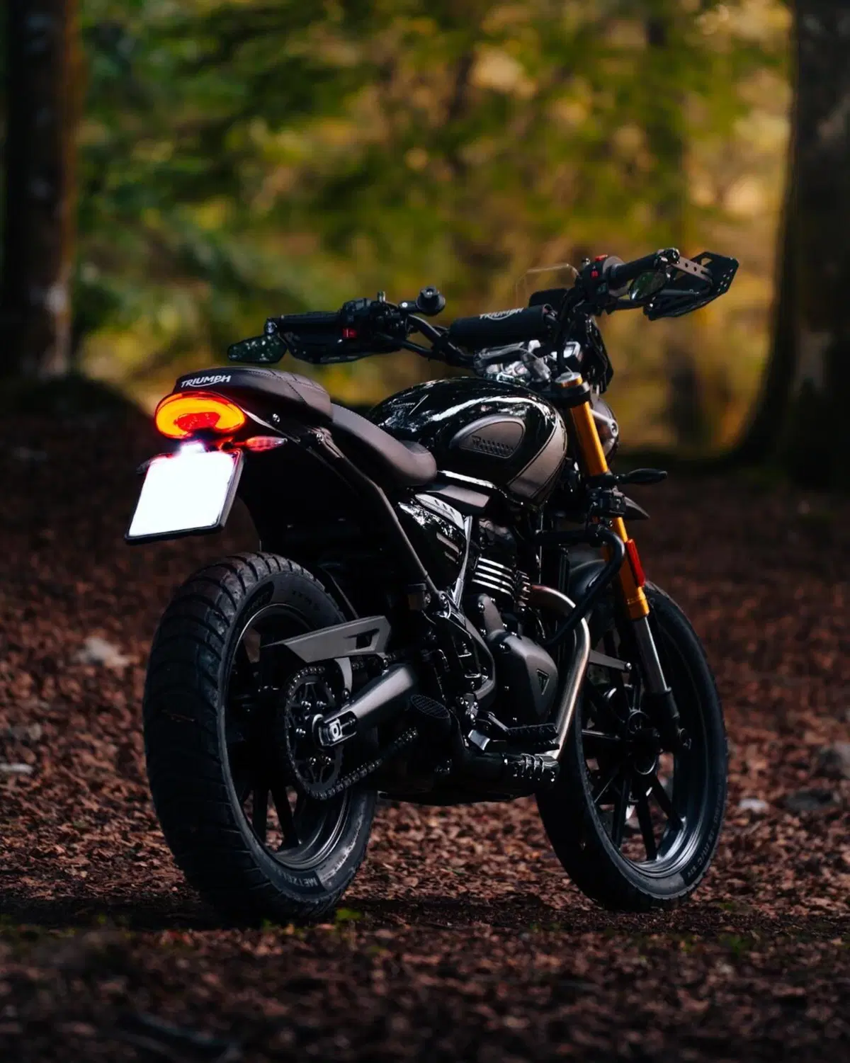 Triumph Scrambler 400 X (2024 - 26) (3)