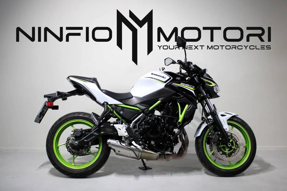 Kawasaki Z 650 (2021 - 24)
