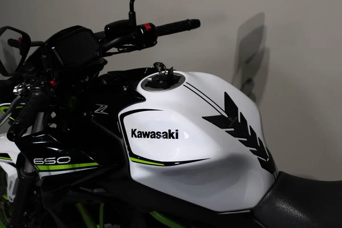 Kawasaki Z 650 (2021 - 24) (5)