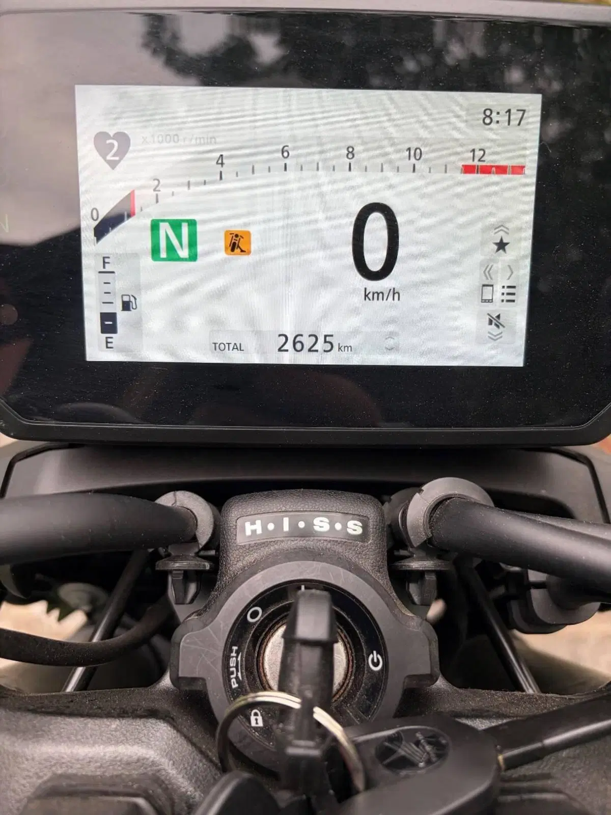 Honda CB 1000 Hornet (2025 - 26) (6)