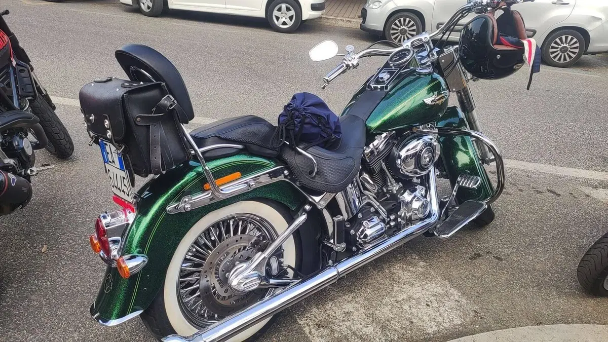 Harley-Davidson 1690 Deluxe ABS (2011 - 16) - FLSTN (10)