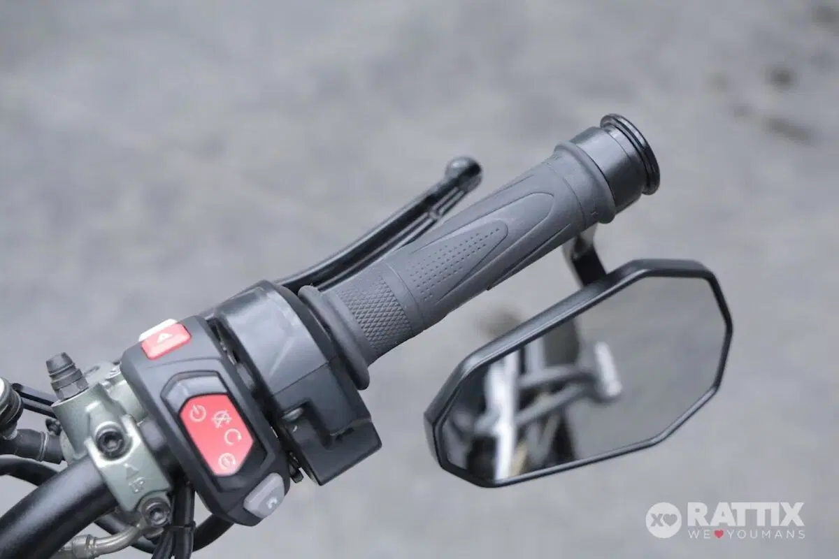 Triumph Speed Triple 1050 RS (2018 - 20) (12)