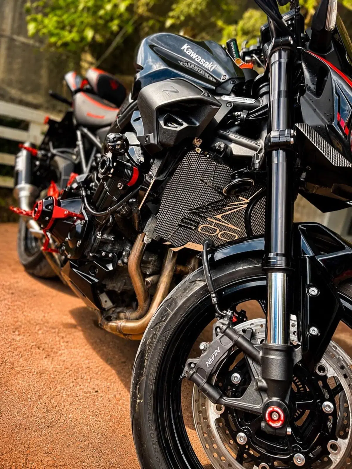 Kawasaki Z 900 A2 (2025 - 26) (3)