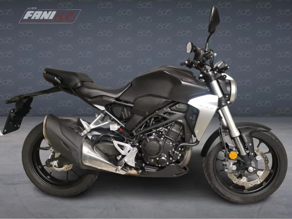 Honda CB 300 R (2018 - 19)