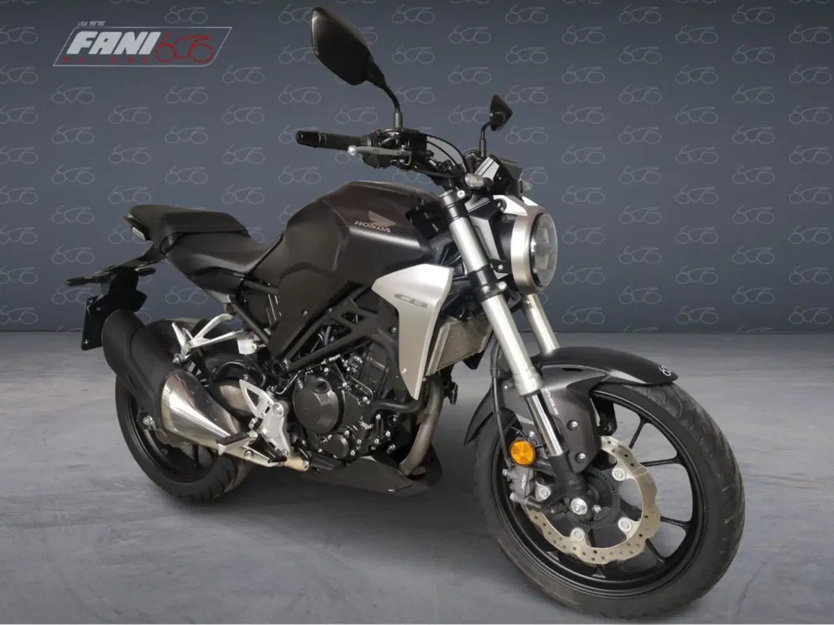 Honda CB 300 R (2018 - 19) (2)