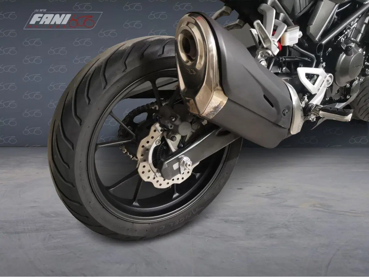 Honda CB 300 R (2018 - 19) (6)