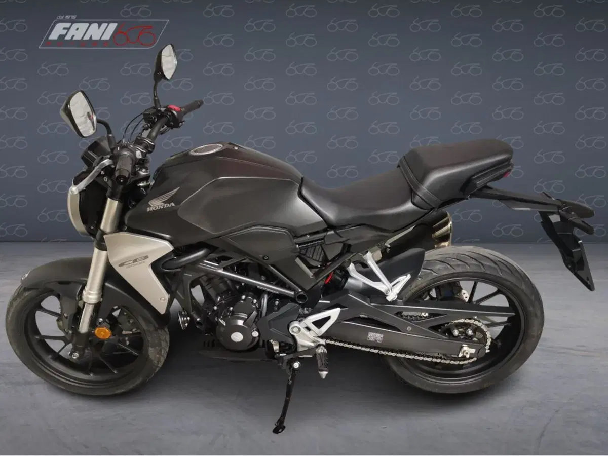 Honda CB 300 R (2018 - 19) (3)