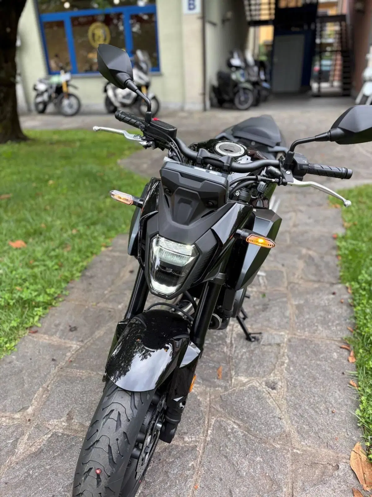 Honda CB 500 Hornet (2026) (3)