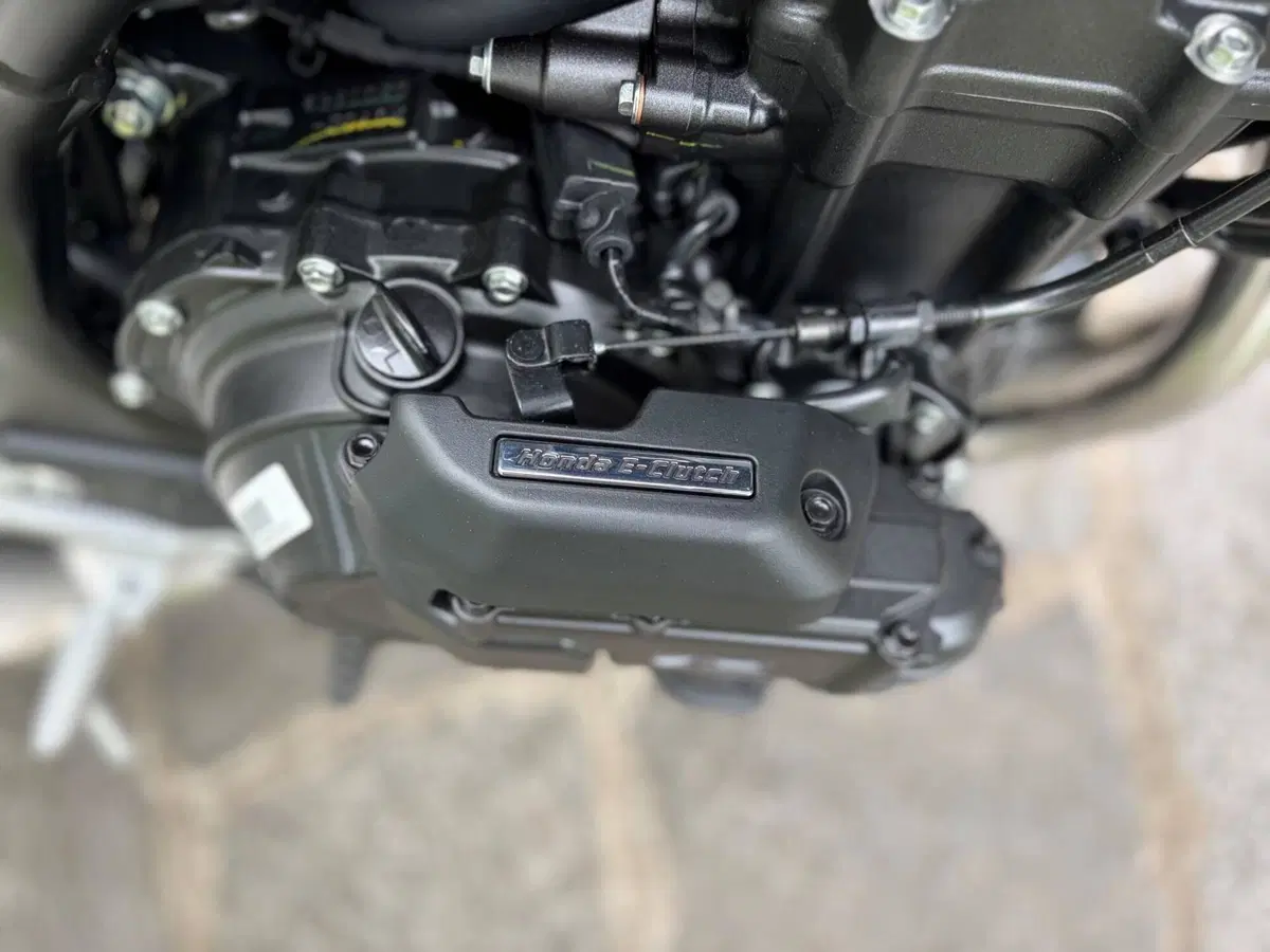 Honda CB 500 Hornet (2026) (6)