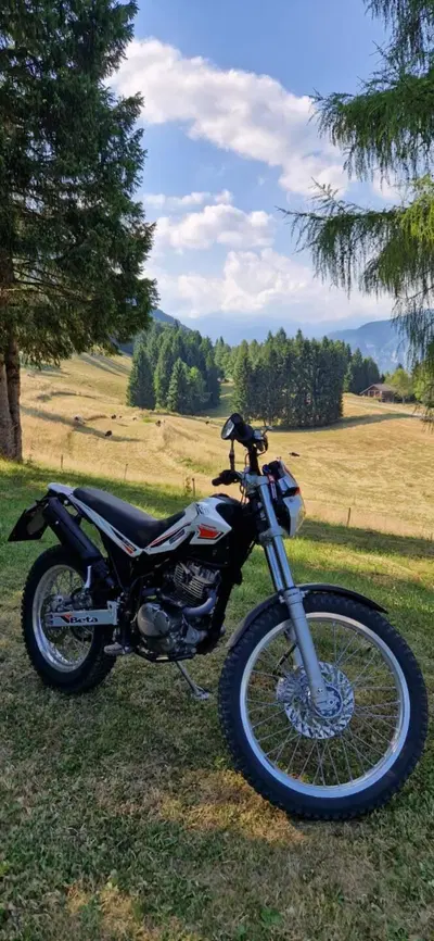 Betamotor Alp 200 (2009 - 17) usata