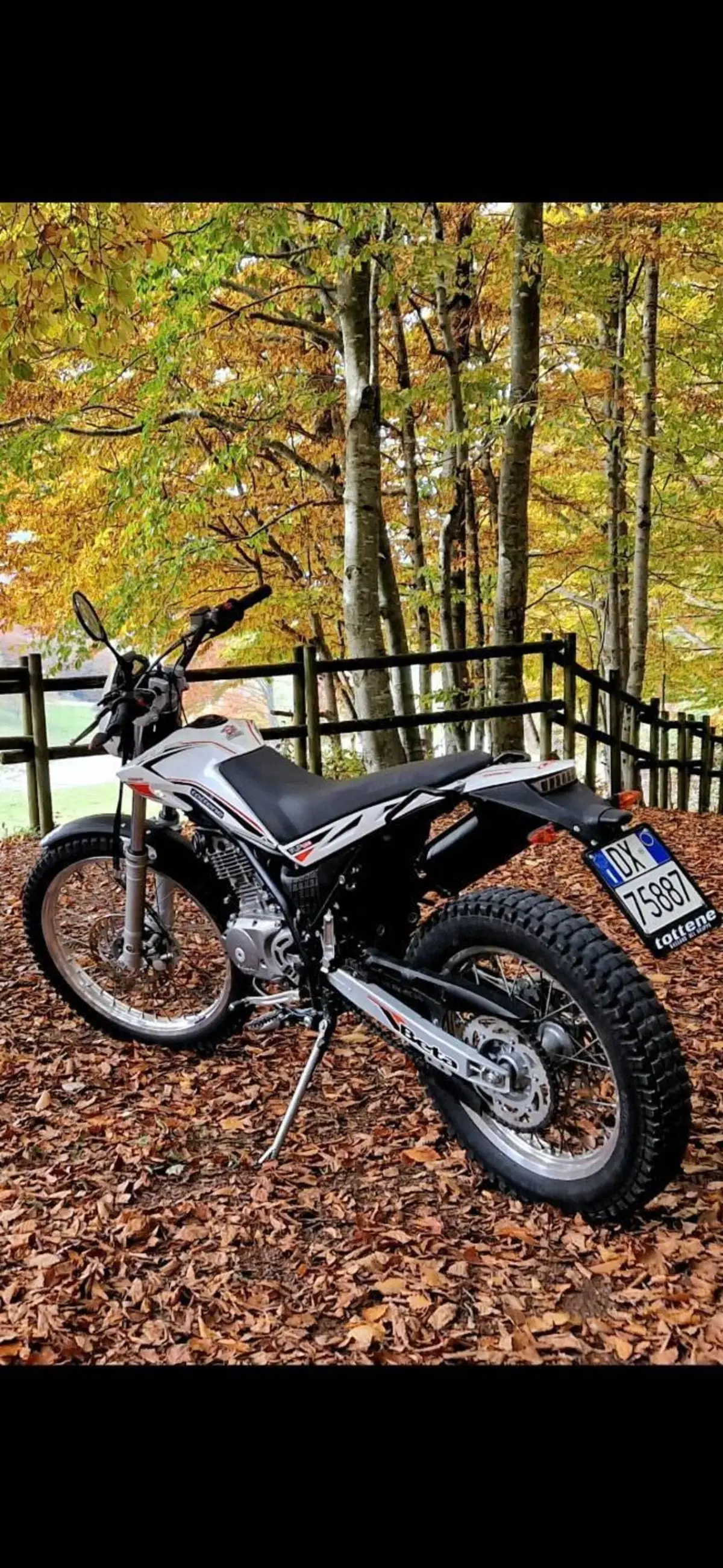 Betamotor Alp 200 (2009 - 17) (4)