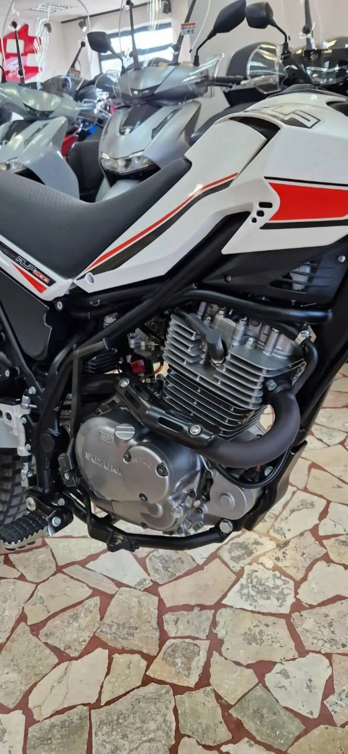 Betamotor Alp 200 (2009 - 17) (5)